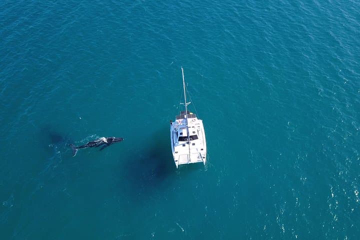 Overnight Whale-Watching in Hervey Bay: 2-Day K'gari Swim & Sail photo 2