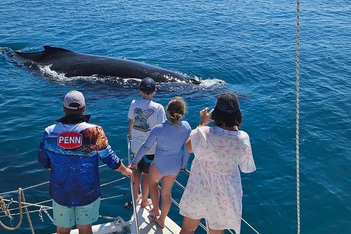 Overnight Whale-Watching in Hervey Bay: 2-Day K'gari Swim & Sail photo 3
