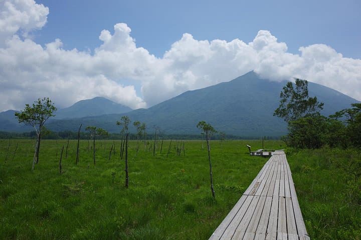 Senjogahara Nature Guide Tour — Easy Wetland Hike in Oku‑Nikko