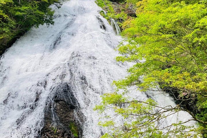 Senjogahara Nature Guide Tour — Easy Wetland Hike in Oku‑Nikko photo 2