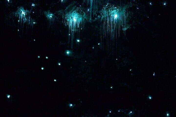 Tamborine Mountain Glow Worm Caves, Sunset & Telescope Stargazing from Brisbane photo 4