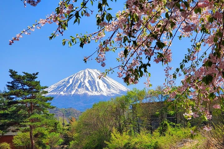 Mount Fuji Full-Day Private Tour from Tokyo — Customize Kawaguchiko, Oshino Hakkai & More photo 1