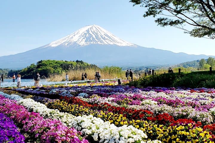 Mount Fuji & Hakone Private Day Trip from Tokyo — Lake Ashi Cruise, Owakudani & Ropeway