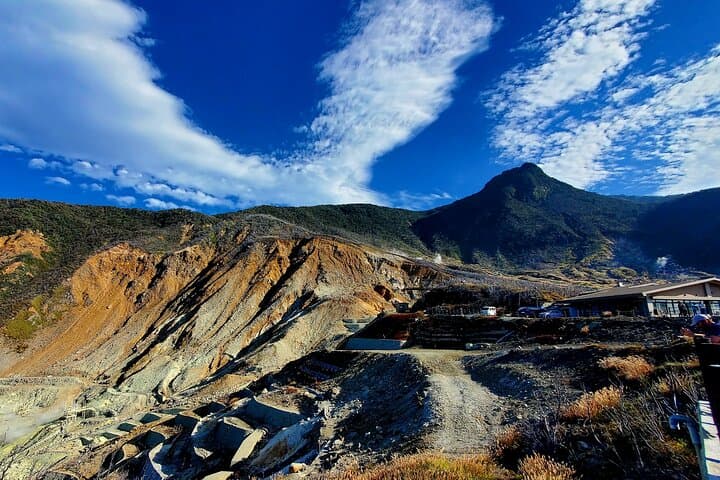 Hakone Full-Day Private Tour from Tokyo — Lake Ashi, Owakudani Ropeway & Gotemba Outlets