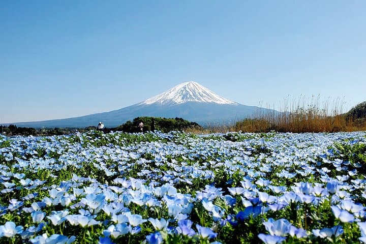 3-Day Private Tour from Tokyo: Tokyo, Mt. Fuji & Hakone Highlights
