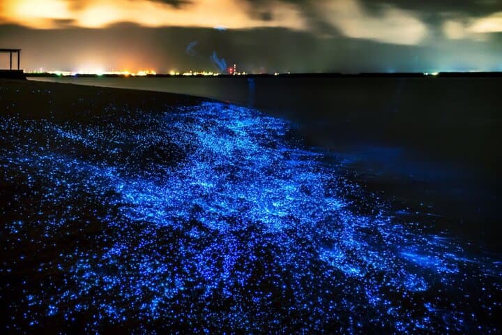 Bioluminescent Sea Canoe & James Bond Island Sunset Tour — Phang Nga Bay photo 4