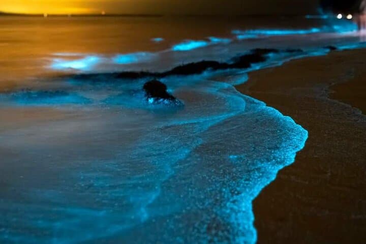 Bioluminescent Sea Canoe & James Bond Island Sunset Tour — Phang Nga Bay