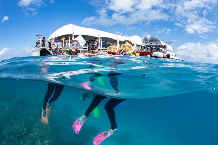 Great Barrier Reef Day Cruise with 10-Minute Helicopter Flight from Cairns photo 5