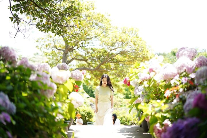 Jeju West & South Hydrangea Festival Tour — Hyeopjae, Hallim Park & O'Sulloc photo 1