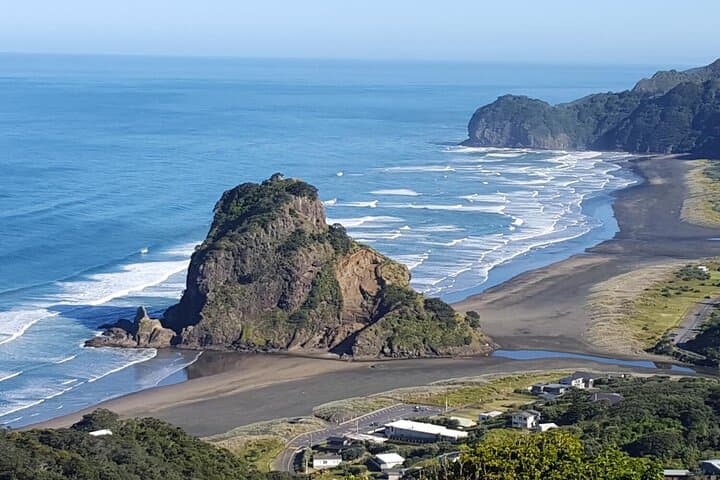 Piha Black Sand & Kitekite Falls — Half-Day West Auckland Beach and Waterfall Tour photo 1