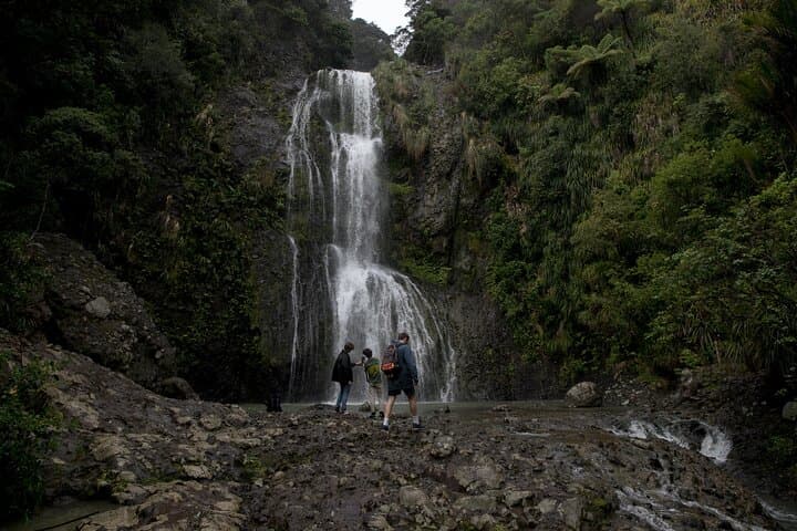 Piha Black Sand & Kitekite Falls — Half-Day West Auckland Beach and Waterfall Tour photo 2