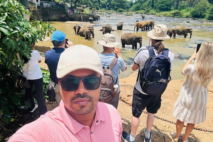 Sri Lanka in 6 Days: Ultimate Island Explorer — Sigiriya, Kandy, Ella & Coastal Safari photo 3