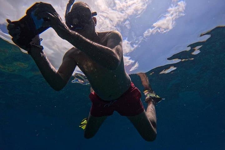 Koh Tao & Koh Nang Yuan Snorkeling Day Trip from Koh Samui photo 3