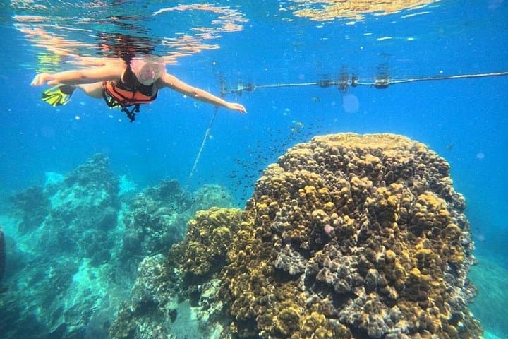 Koh Tao & Koh Nang Yuan Snorkeling Day Trip from Koh Samui photo 4