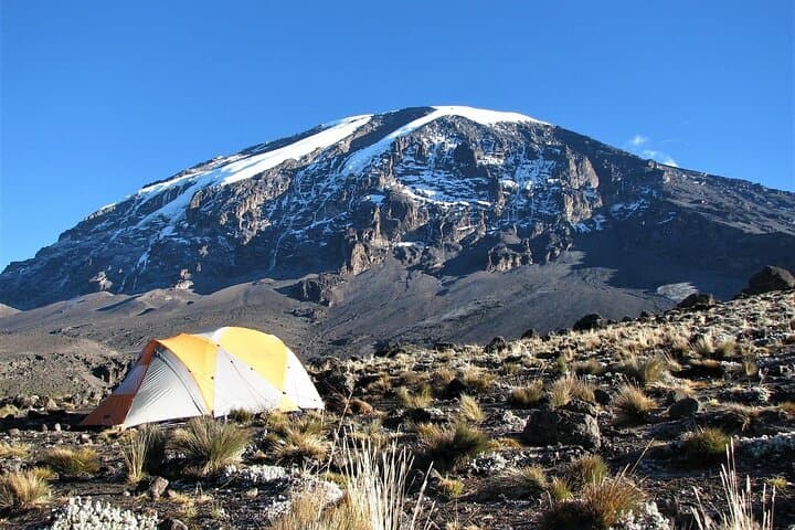 Rongai Route Kilimanjaro Summit: 6-Day Guided Trek from Moshi photo 4