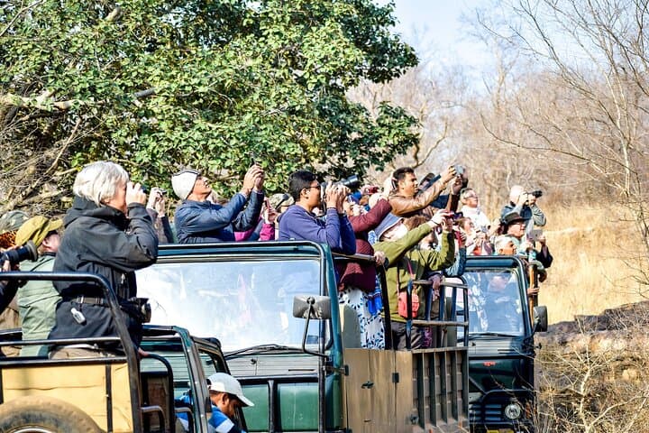 Panna Tiger Jeep Safari: Half-Day Sure Shot Tiger Viewing in Panna National Park photo 2