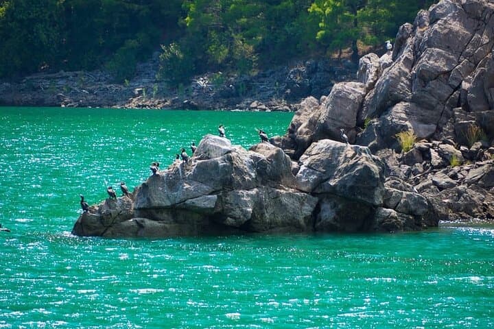Green Canyon Boat Trip from Side: Oymapinar Dam Cruise with Lunch photo 3