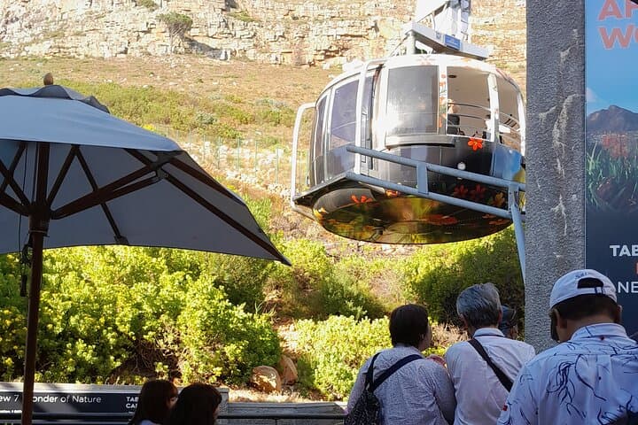 Cape Town Full-Day: Robben Island, Table Mountain & Groot Constantia Wine Tasting photo 3