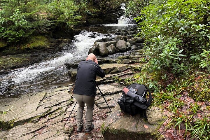 Capture Killarney: Half-Day Guided Photography Tour in Killarney National Park photo 2