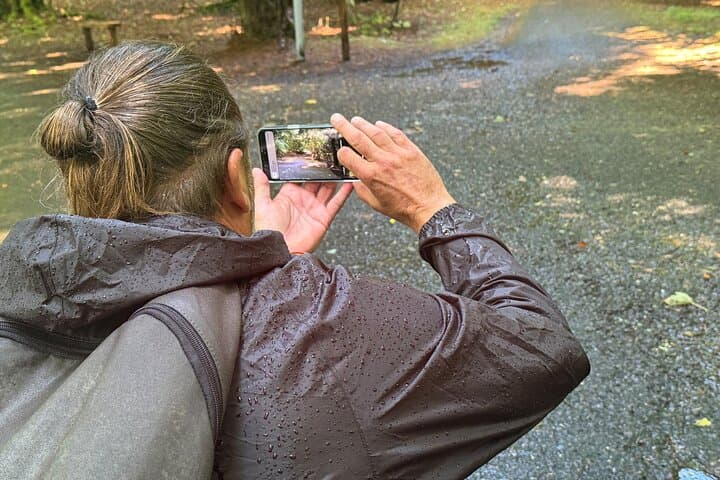 Capture Killarney: Half-Day Guided Photography Tour in Killarney National Park photo 4