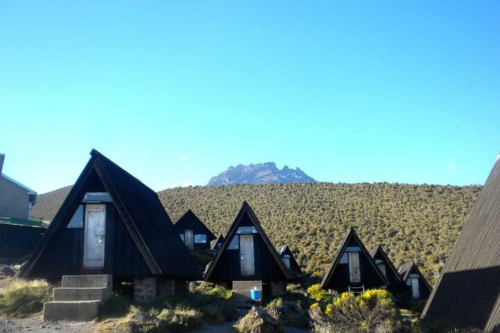 Climb Mount Kilimanjaro: 5-Day Marangu Route Hut Trek to Uhuru Peak