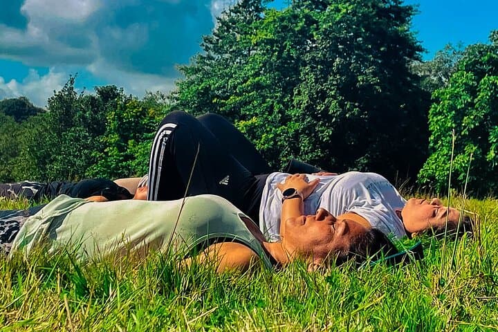Brighton Countryside Yoga & Soundbath Retreat: Forest Flow and Firepit Lunch photo 3