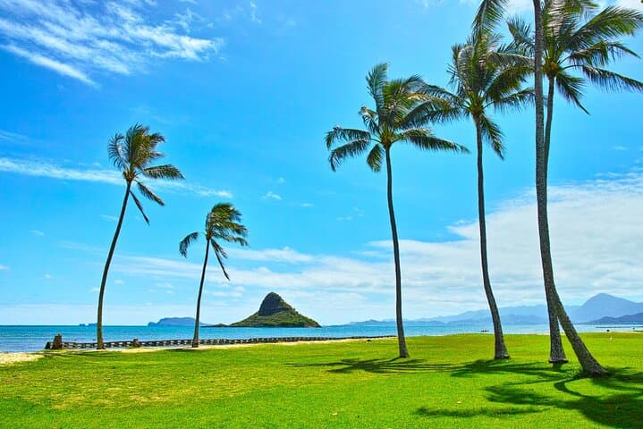 Oahu Private 5-Hour Driving Tour: North Shore, Kualoa & Byodo-In Temple