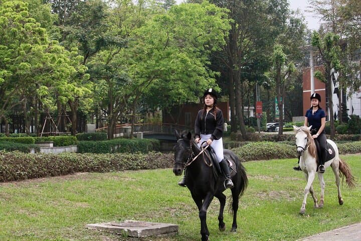 Hanoi Horseback Riding at Gamuda Yen So Park - Beginner Trails & Creative Session photo 2