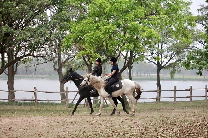 Hanoi Horseback Riding at Gamuda Yen So Park - Beginner Trails & Creative Session photo 3