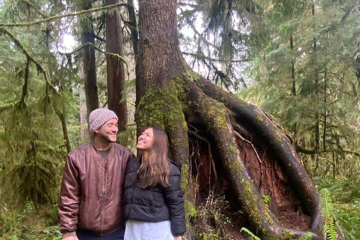Olympic National Park Day Trip from Seattle — Hoh Rainforest, Ruby Beach & Lake Crescent