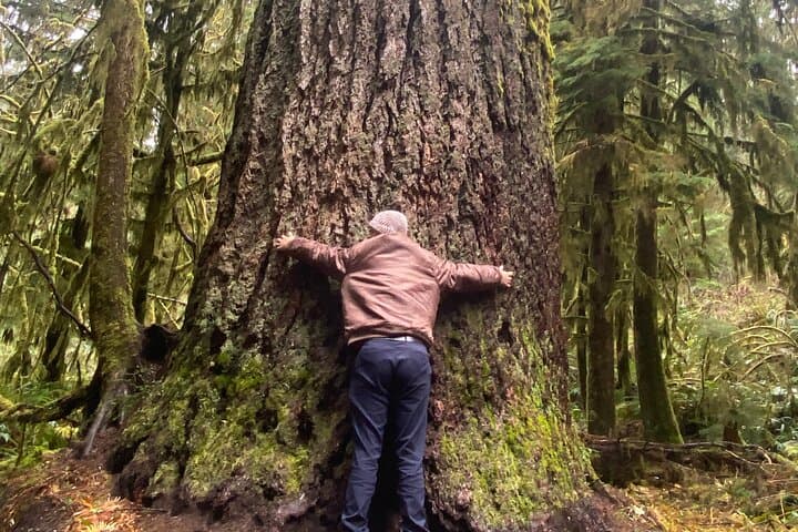 Olympic National Park Day Trip from Seattle — Hoh Rainforest, Ruby Beach & Lake Crescent photo 4