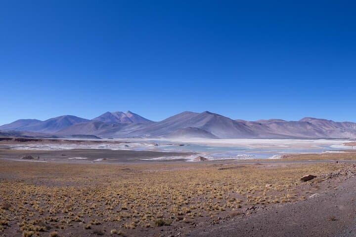 Piedras Rojas & Altiplánica Lagoons: Full-Day Red Stones and Salar de Atacama Tour photo 4