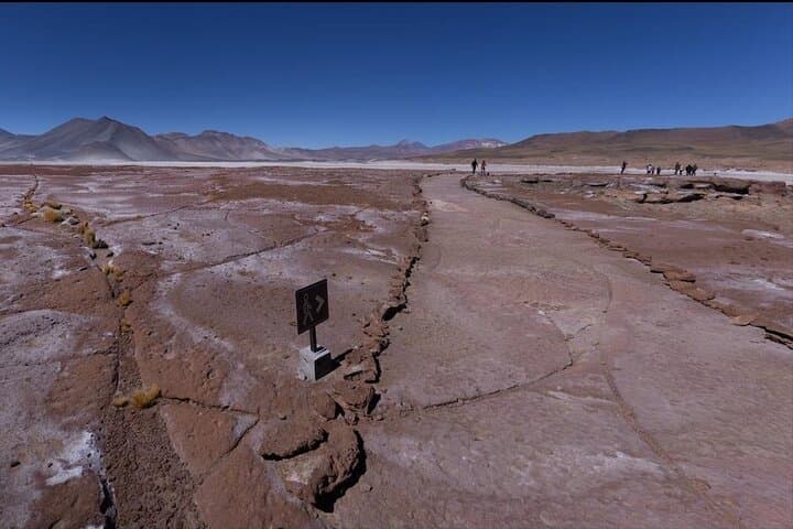 Piedras Rojas & Altiplánica Lagoons: Full-Day Red Stones and Salar de Atacama Tour photo 5