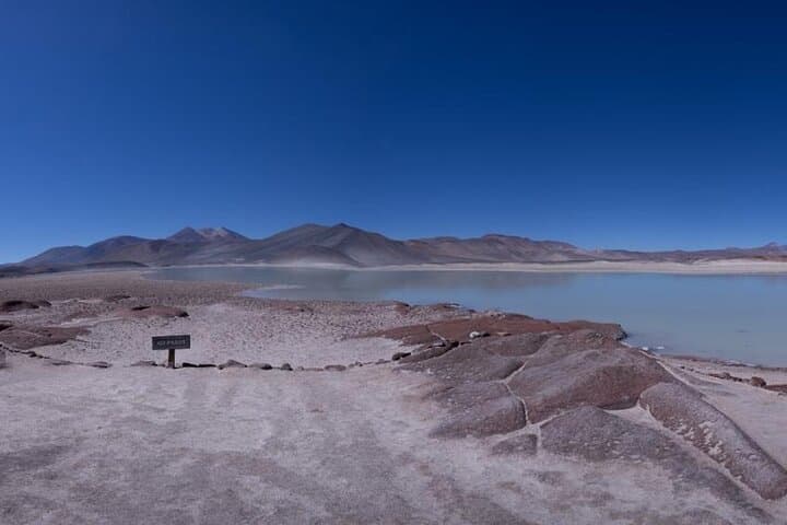 Piedras Rojas & Altiplánica Lagoons: Full-Day Red Stones and Salar de Atacama Tour photo 6