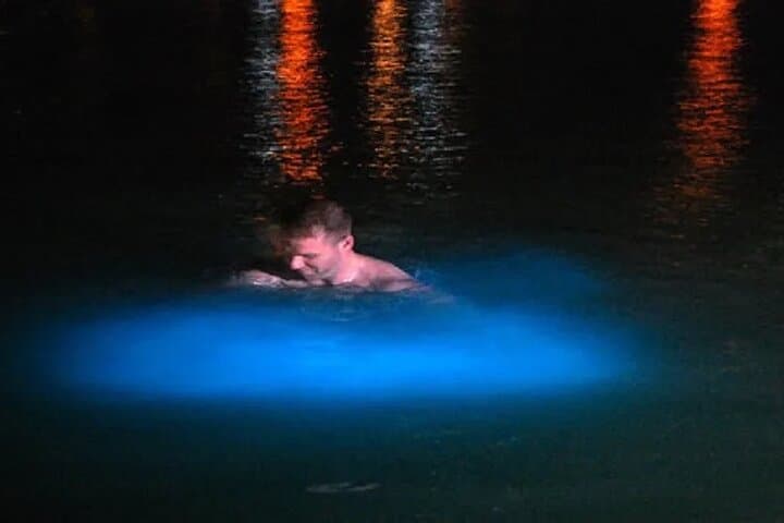 Luminous Lagoon Falmouth: Night Boat Ride & Bioluminescent Swim Guide photo 3