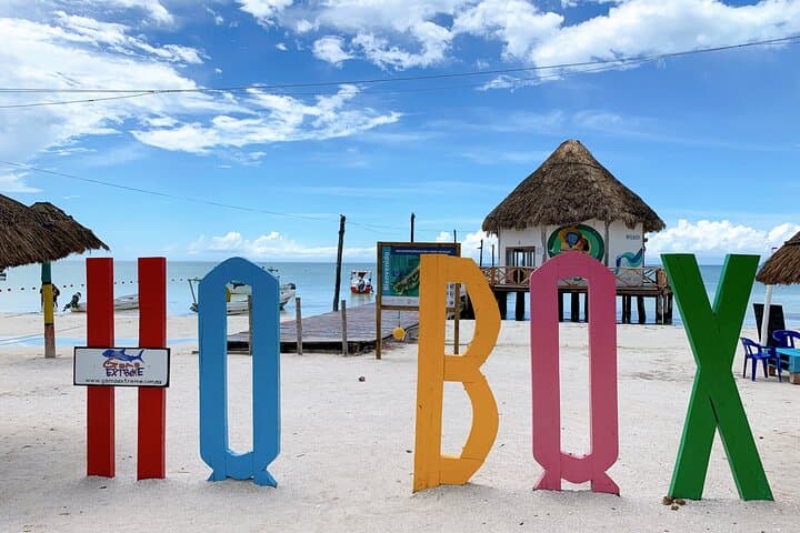 Holbox Island Tour to Punta Mosquito — Mirror Beaches, Local Culture & Seafood Lunch