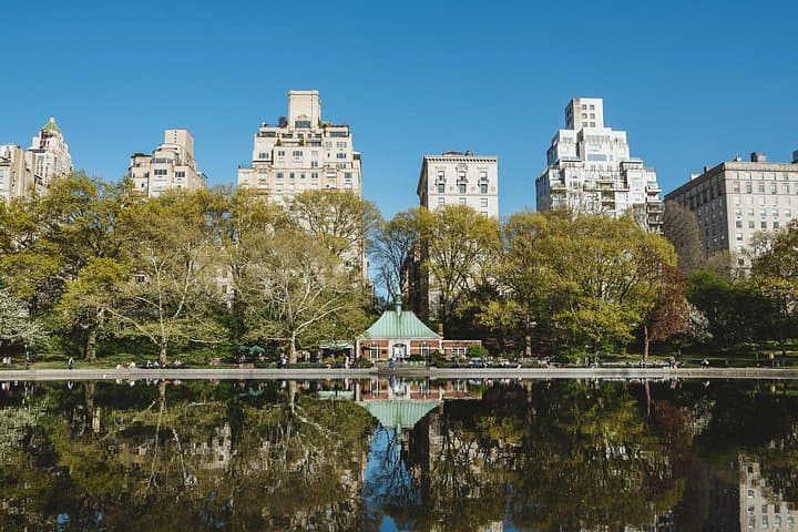 Private NYC Highlights Tour — Times Square, Central Park & Statue of Liberty photo 4