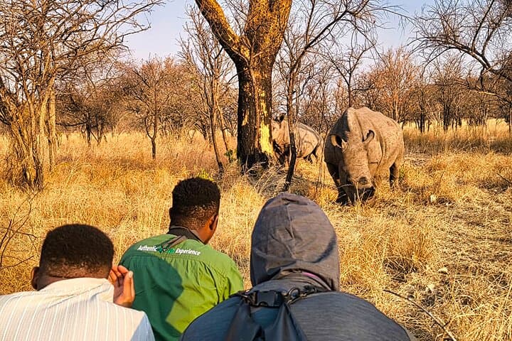 Guided Rhino Trek and Bush Safari in Mosi-oa-Tunya National Park photo 2