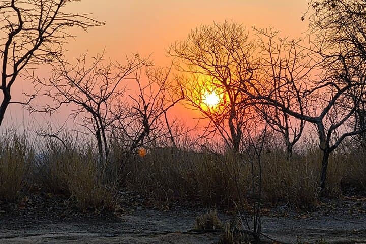 Guided Rhino Trek and Bush Safari in Mosi-oa-Tunya National Park photo 5