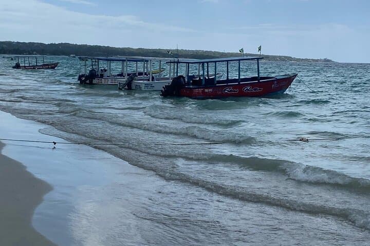 Experience Jamaica's Best: Rick's Café and Seven Mile Beach Adventure photo 2