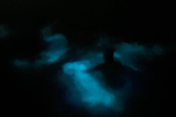 Mystic Waters: La Parguera Bioluminescent Night Tour