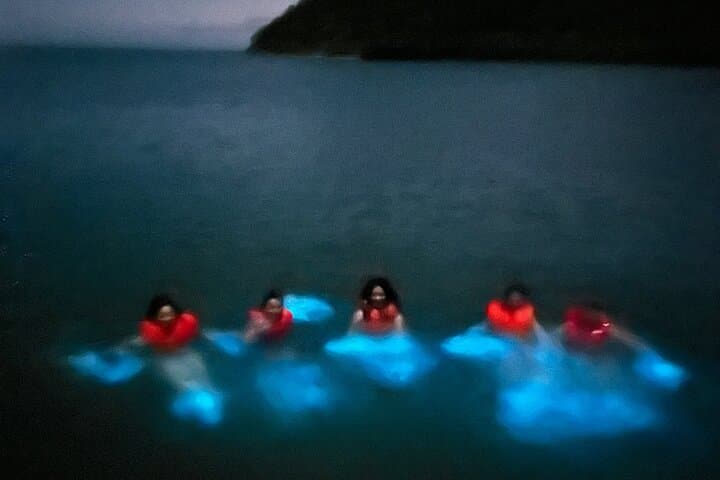 Mystic Waters: La Parguera Bioluminescent Night Tour photo 2
