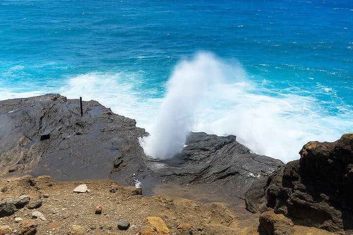 Private Oahu Circle-Island Tour: North Shore & East Side Highlights photo 3
