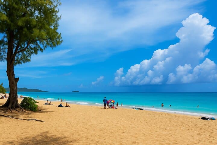 Private Oahu Circle-Island Tour: North Shore & East Side Highlights photo 4