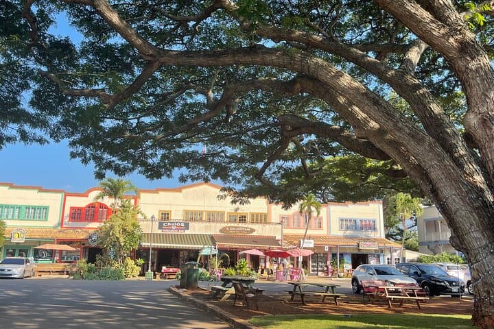 Private Oahu Circle-Island Tour: North Shore & East Side Highlights photo 5