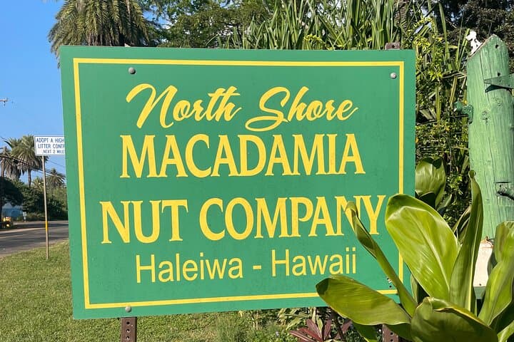 Private Oahu Circle-Island Tour: North Shore & East Side Highlights photo 6