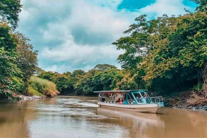 Palo Verde River Safari and Coffee-Farm Day Trip from Guanacaste