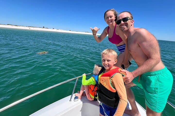 Private Dolphin Swim and Snorkeling Tour — Panama City Beach Gulf Adventure photo 2