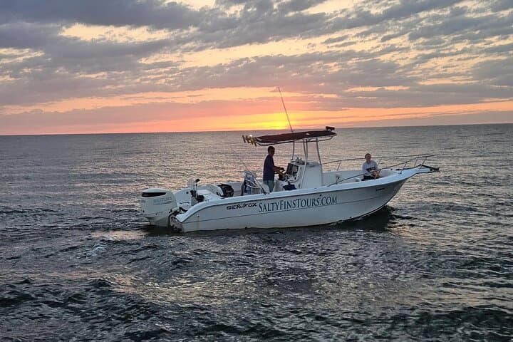 Private Panama City Beach Sunset Tour — Small-Boat Dolphin Watching & Shell Island Snorkel photo 2