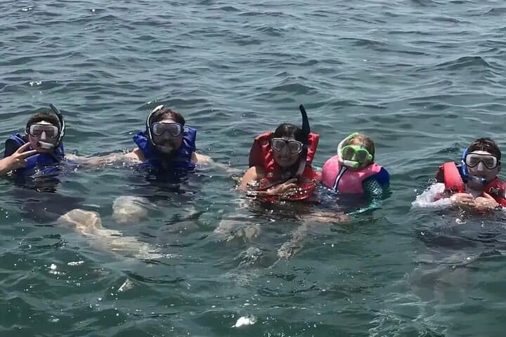Panama City Beach Dolphin Swim and Shell Island Snorkel Tour photo 3